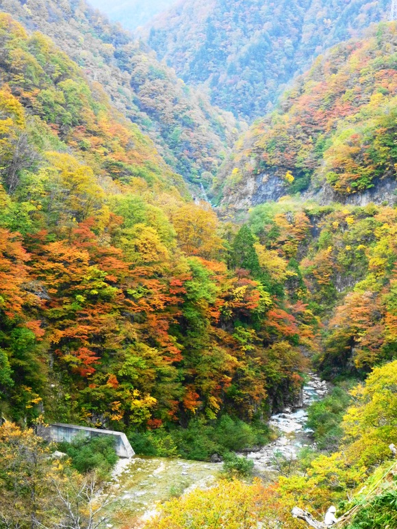 b0229003_19594919.jpg