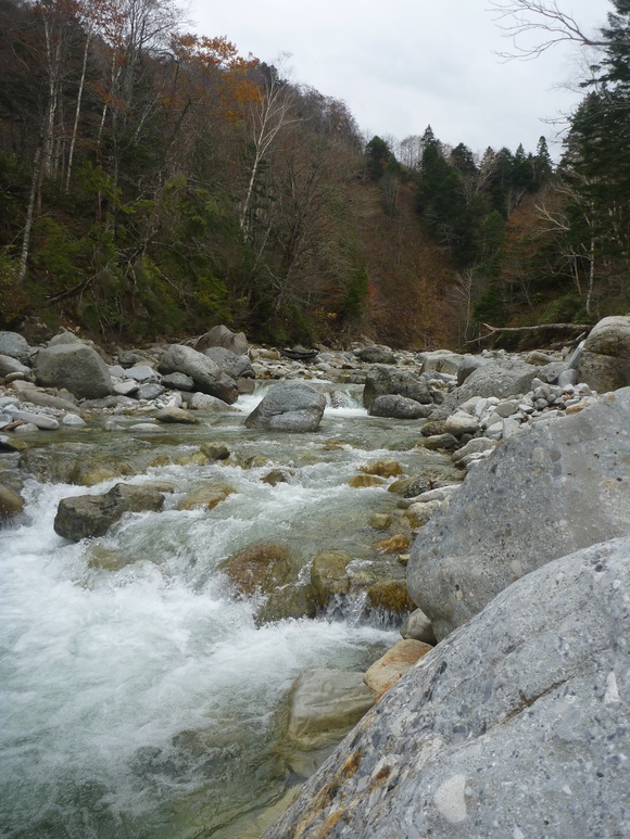b0229003_2062941.jpg
