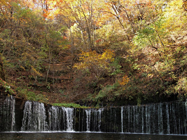e0039703_027135.jpg