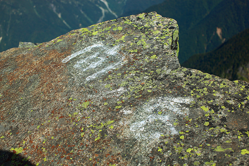 a0148606_2015189.jpg