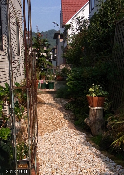 e0138807_948381.jpg