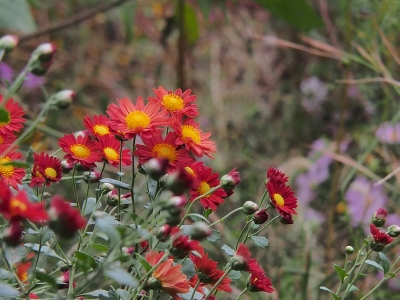c0156908_10561686.jpg
