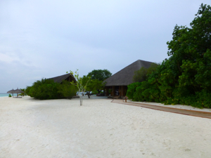 d0298808_17584921.jpg