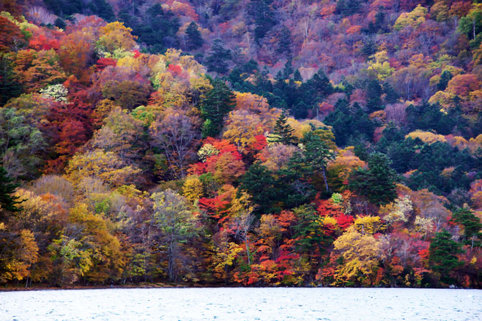 奥日光　中禅寺湖畔の紅葉1_a0263109_11502996.jpg