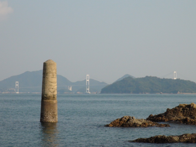 今治市大角鼻のツワブキとノジギクの花と景観はmore…2014/10/25_f0231709_1211775.jpg