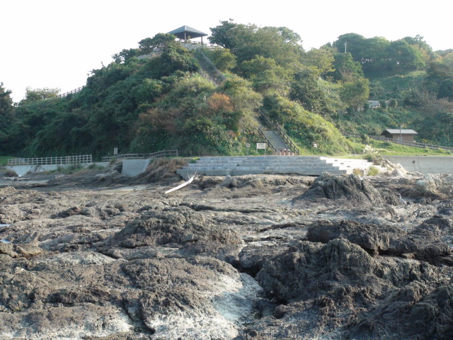 今治市大角鼻のツワブキとノジギクの花と景観はmore…2014/10/25_f0231709_12225556.jpg