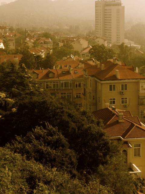 c0153411_0485666.jpg