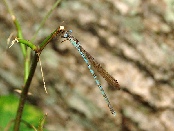 b0033112_2364582.jpg