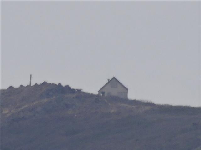 a0127015_9182236.jpg