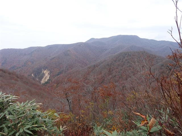 a0127015_9225928.jpg