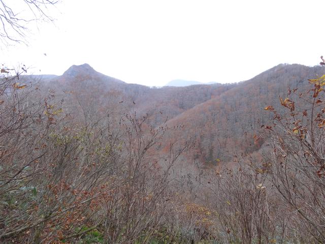 a0127015_933873.jpg