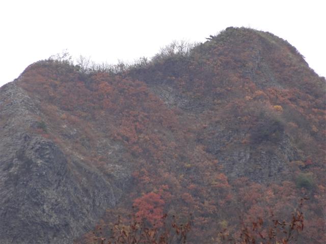 a0127015_93556.jpg