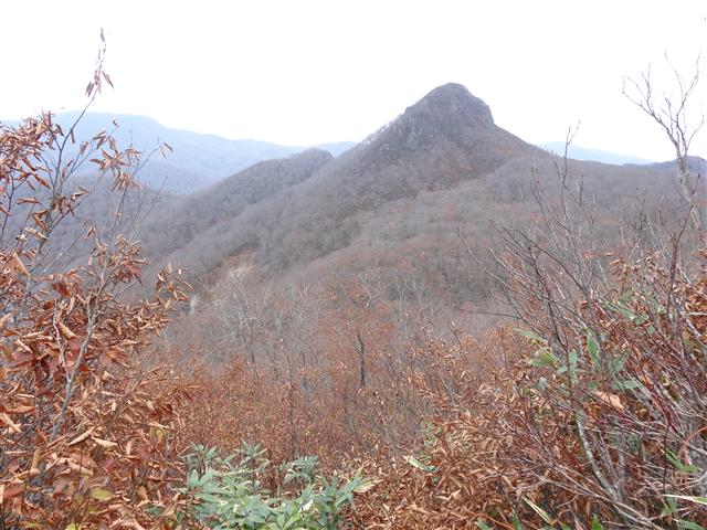 a0127015_9422526.jpg