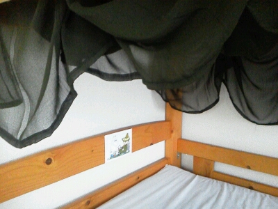 c0280016_104304.jpg