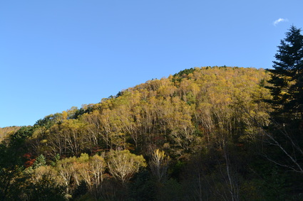 d0264817_18133429.jpg