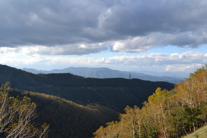 d0264817_1814891.jpg