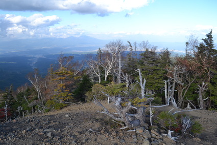 d0264817_182207.jpg