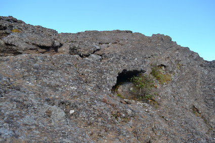 d0264817_1965555.jpg