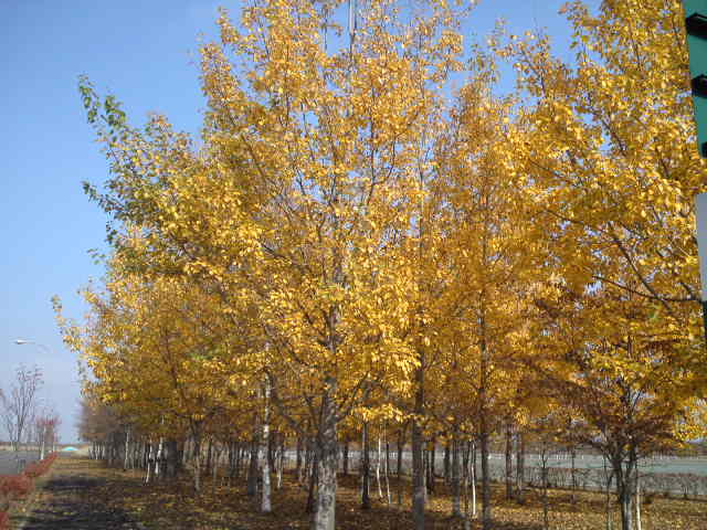 b0300818_23363750.jpg
