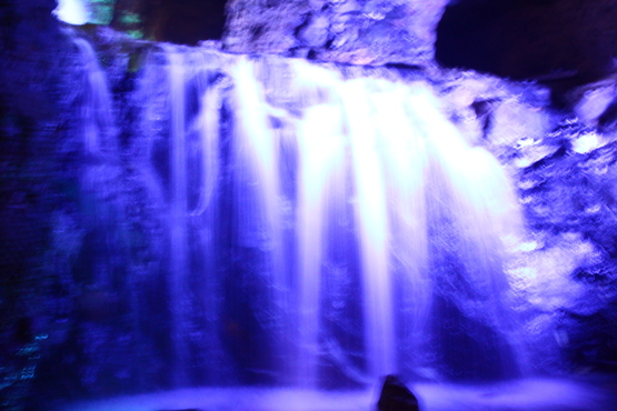 e0201121_04908.jpg