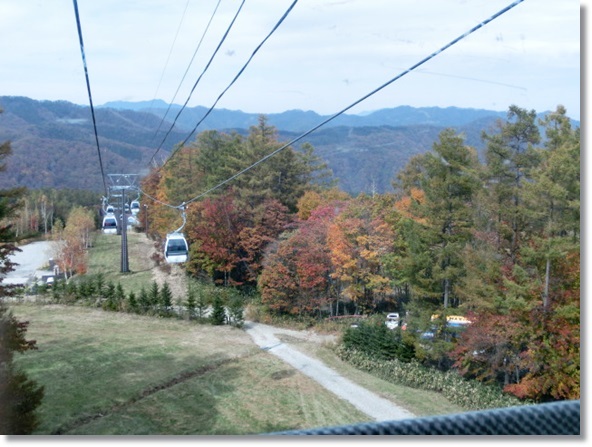 f0182121_1114767.jpg