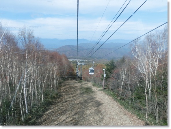 f0182121_1654618.jpg