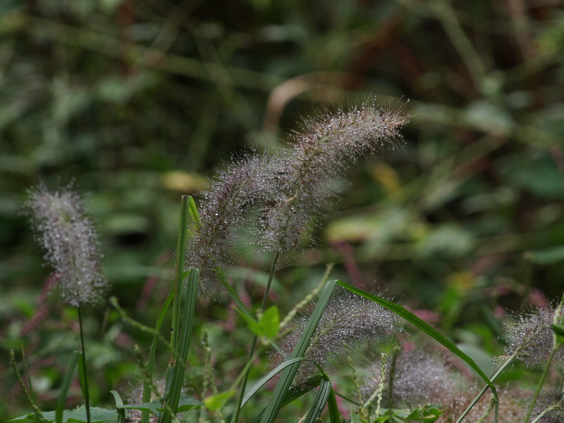 c0085622_21453546.jpg