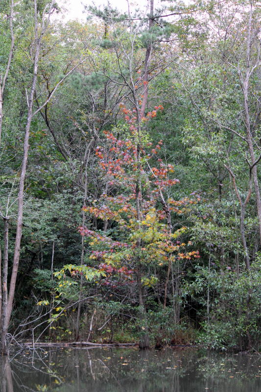 b0179023_19235053.jpg