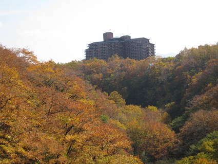 今日の彩り百景_a0057828_1973437.jpg