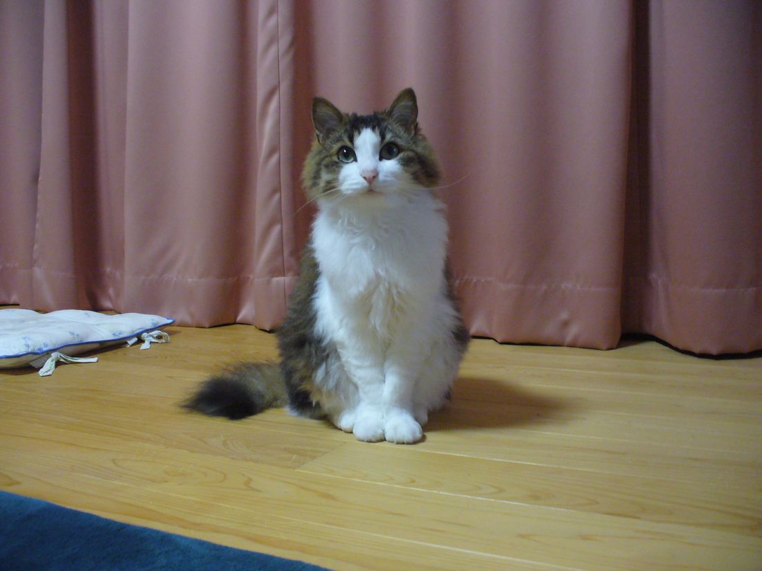 f0275632_225515.jpg