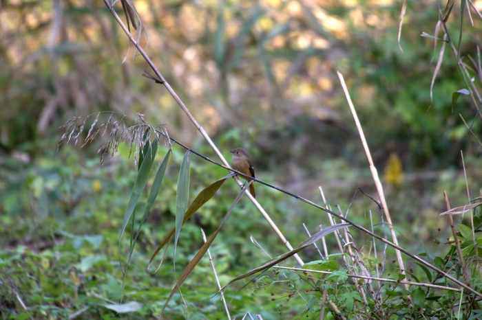 c0269342_2236414.jpg