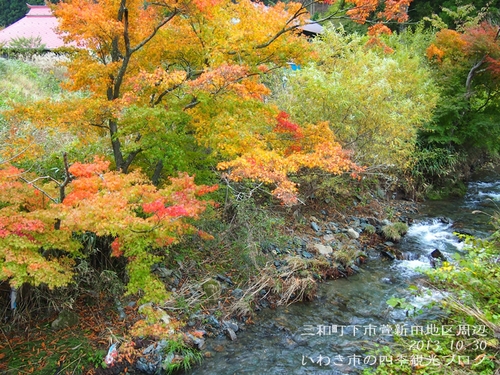 平成25年10月31日（木）　遠野地区・三和地区の紅葉の様子_f0105342_15494620.jpg