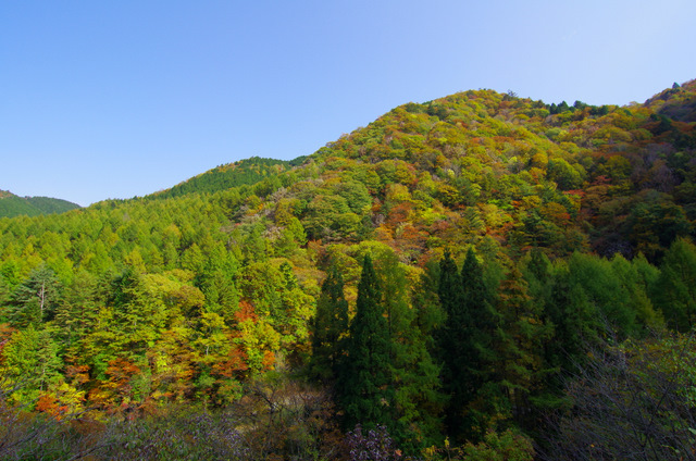 d0186245_1728819.jpg