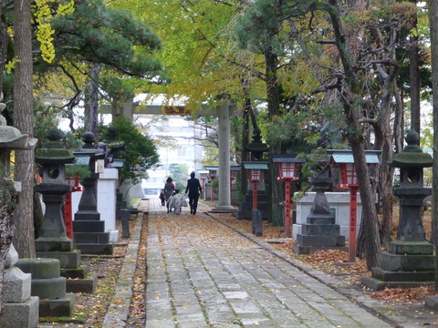 b0238249_20222799.jpg