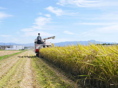 平成25年度新米 熊本の豊かな自然が育む、美味しいお米「七城米」好評発売中!!_a0254656_16505247.jpg