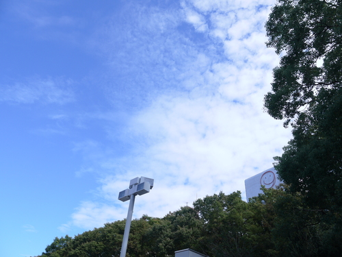 a0159057_8262241.jpg