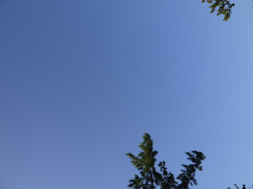 a0159057_8474735.jpg