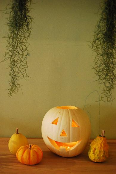 mocca HALLOWEEN _a0201358_16234053.jpg