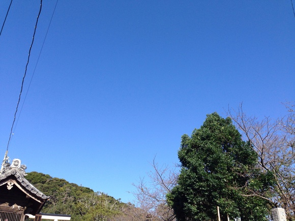 b0309560_6204666.jpg
