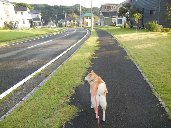 ’13,10,31(木)秋晴れで暑いくらい~!_f0060461_9262763.jpg