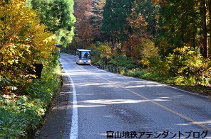 紅葉の森、美女平_a0243562_18193823.jpg