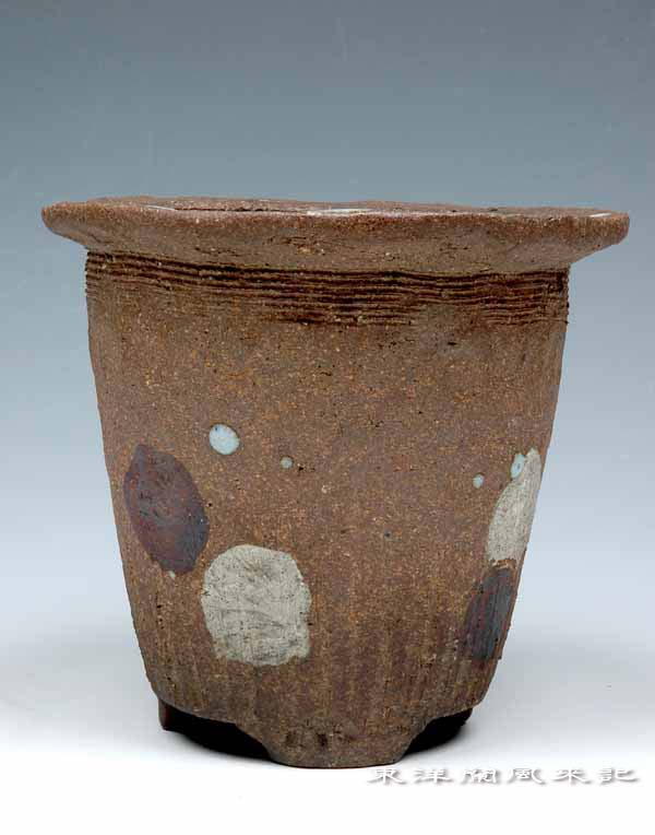 京焼「平安東福寺鉢」 No.493 : 風来記 東洋蘭風来記 春蘭