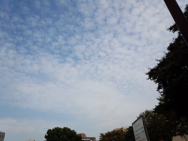 c0212669_15265137.jpg