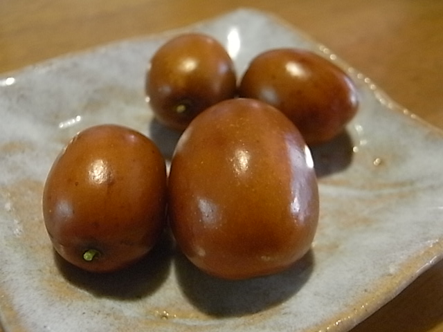 a0146070_73545.jpg