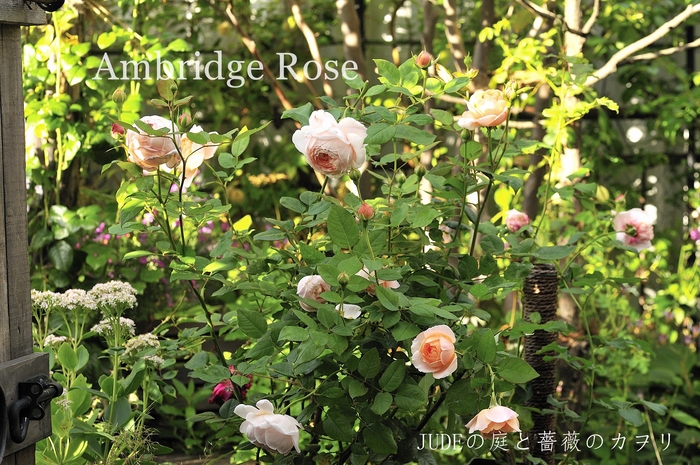 オフホワイトのばらと枝の花と葉 造花】 桜の大枝 約110cm スプレー 単品 シルクフラワーの山久
