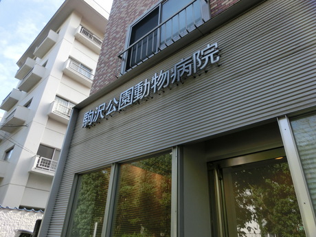 f0223972_761696.jpg