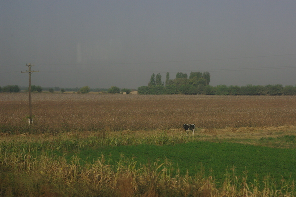 b0183583_0284475.jpg