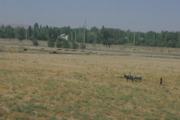 b0183583_0384379.jpg