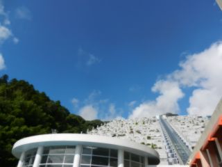 2013年10月31日 もう始まっている~_b0098584_917346.jpg