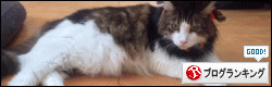 d0107787_1055229.gif
